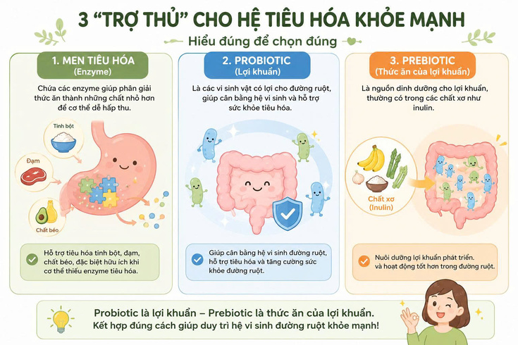 Ophan-biet-men-tieu-hoa-probiotic-va-prebiotic.jpg